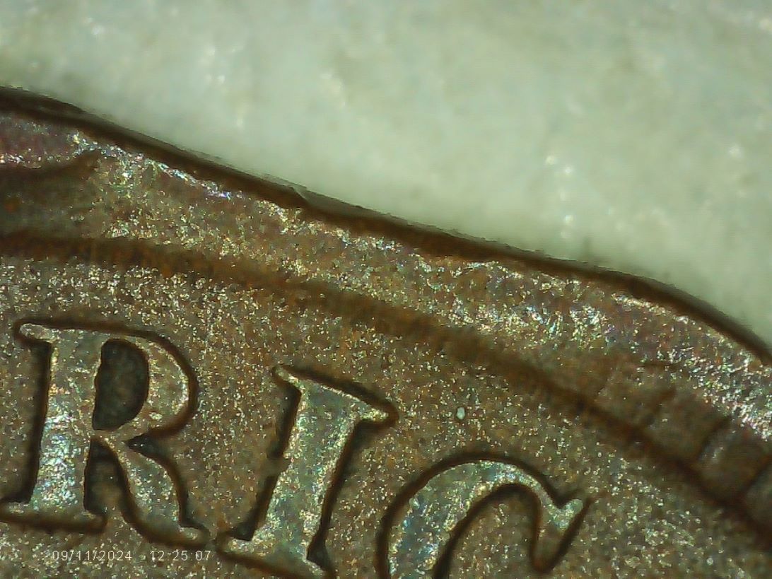 1907-Indian-Head-Cent-Clip