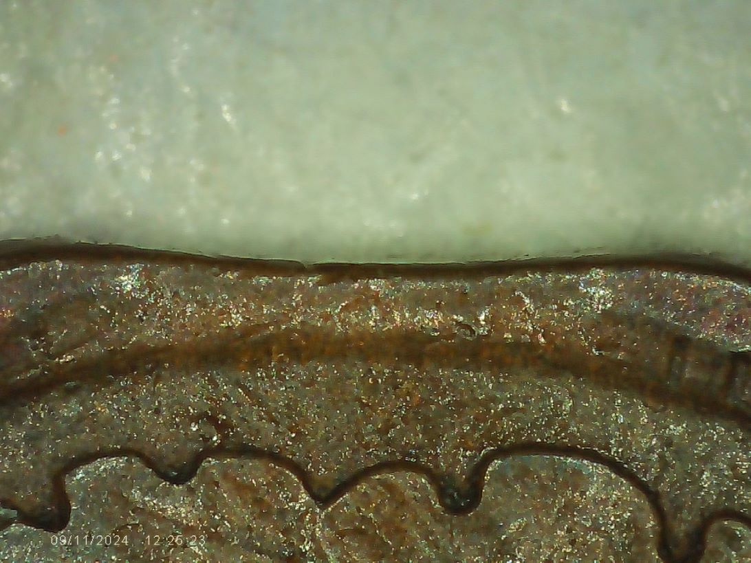 1907-Indian-Head-Cent-Clip