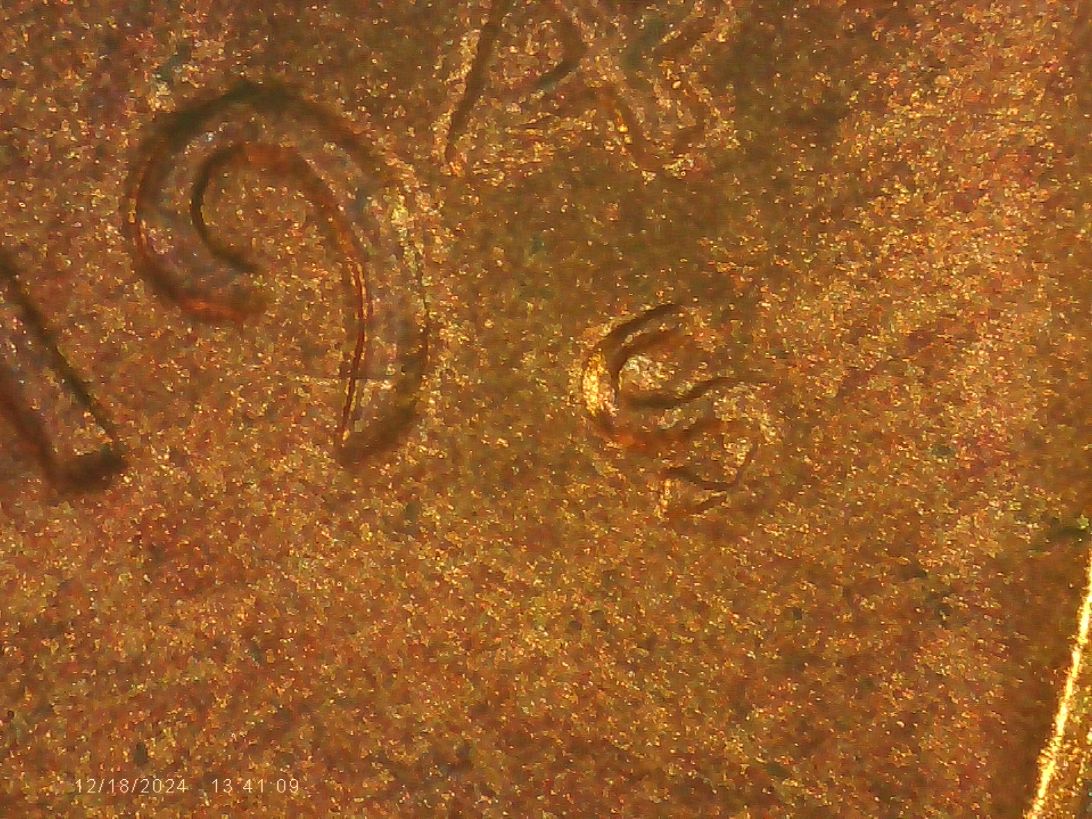 1946-S-Cent-DDO-008-Paired-With-RPM-029
