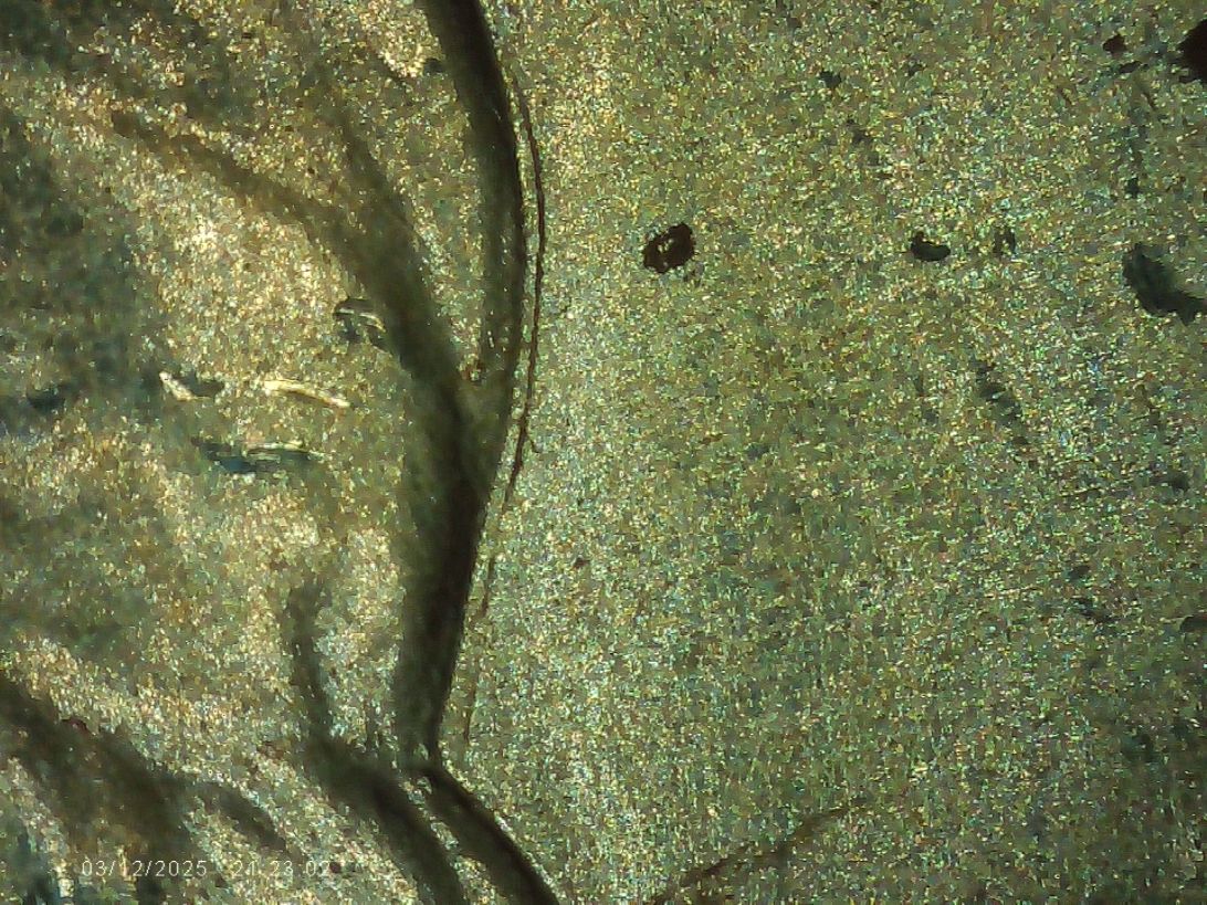1942-D-Quarter-With-Die-Re-Engraving