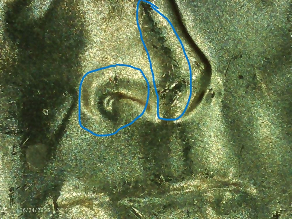2025-D-Nickel-DDO.-Unknown-?