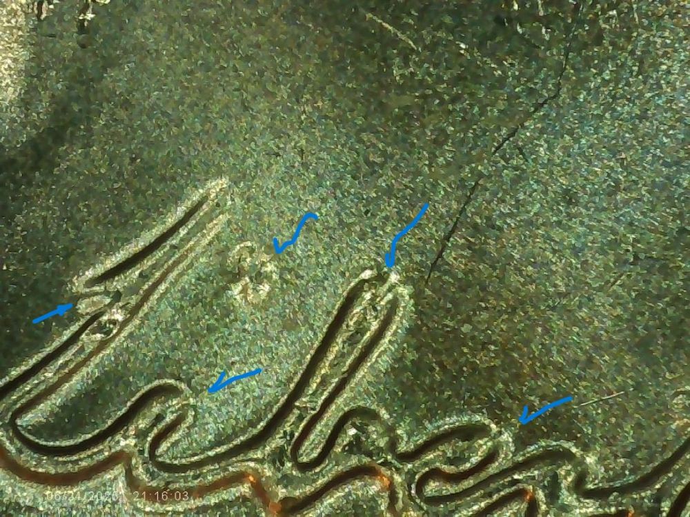 2025-D-Nickel-DDO.-Unknown-?