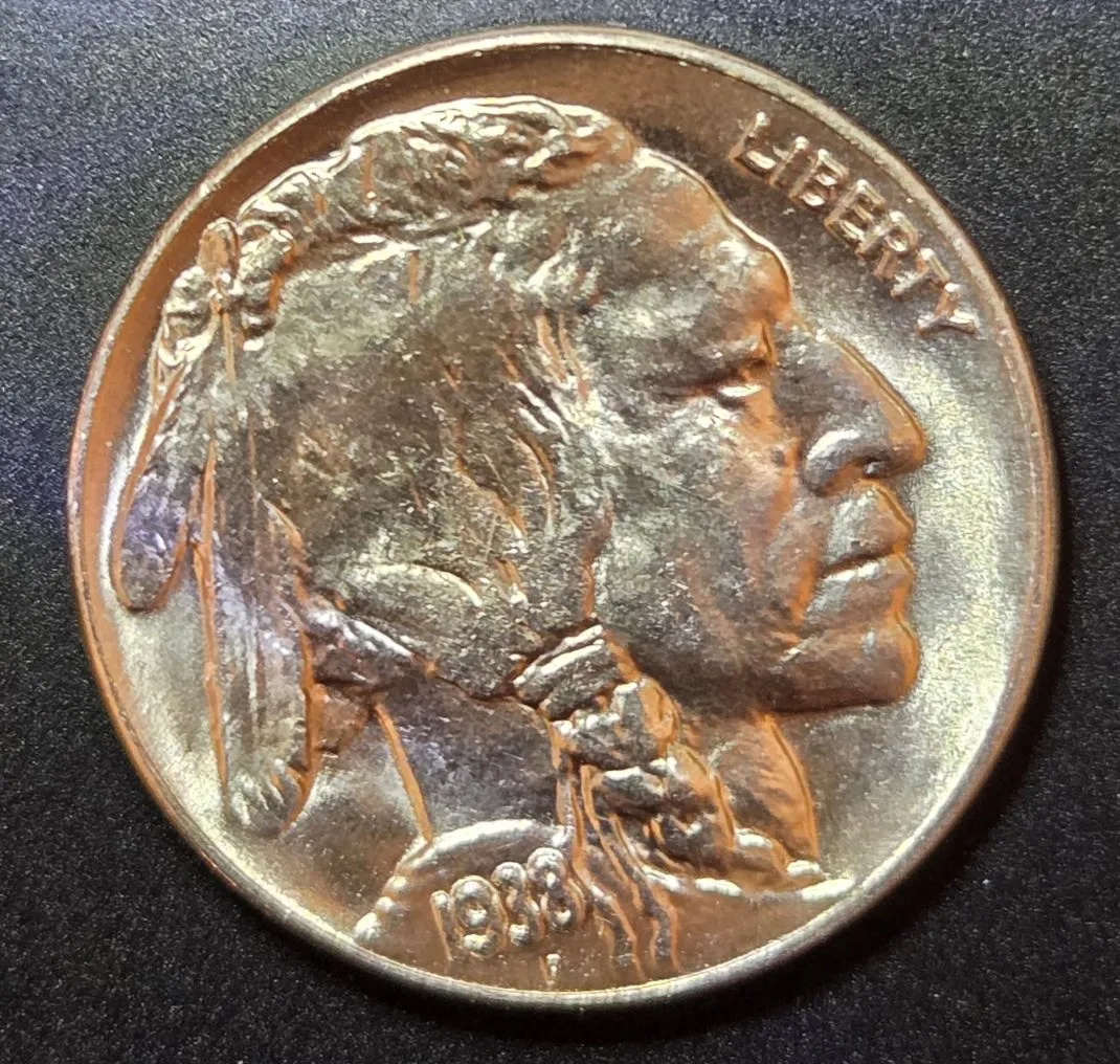 1938-D-Buffalo-Nickel-Grade-Opinion