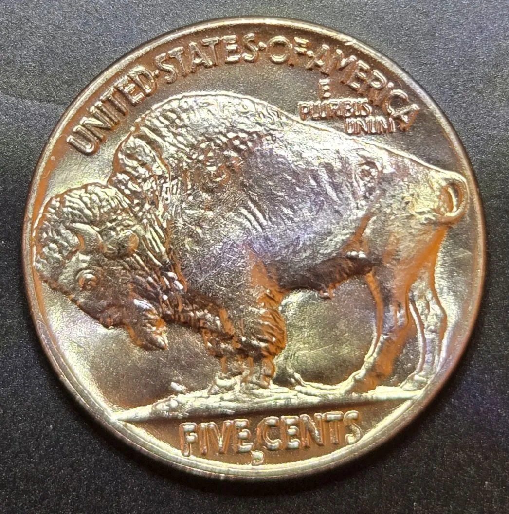 1938-D-Buffalo-Nickel-Grade-Opinion