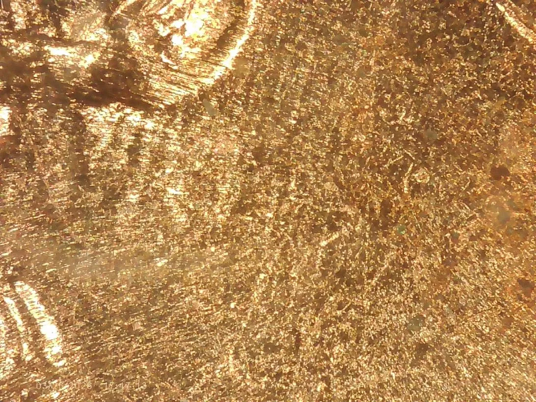1972-D-Cent-DDO-001-ANACS-Graded.