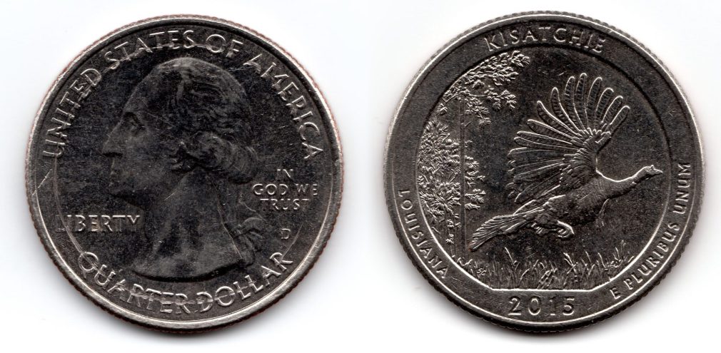 Help-Identifying-A-Kisatchie-Quarter-Problem:--Damage-Or-Error?