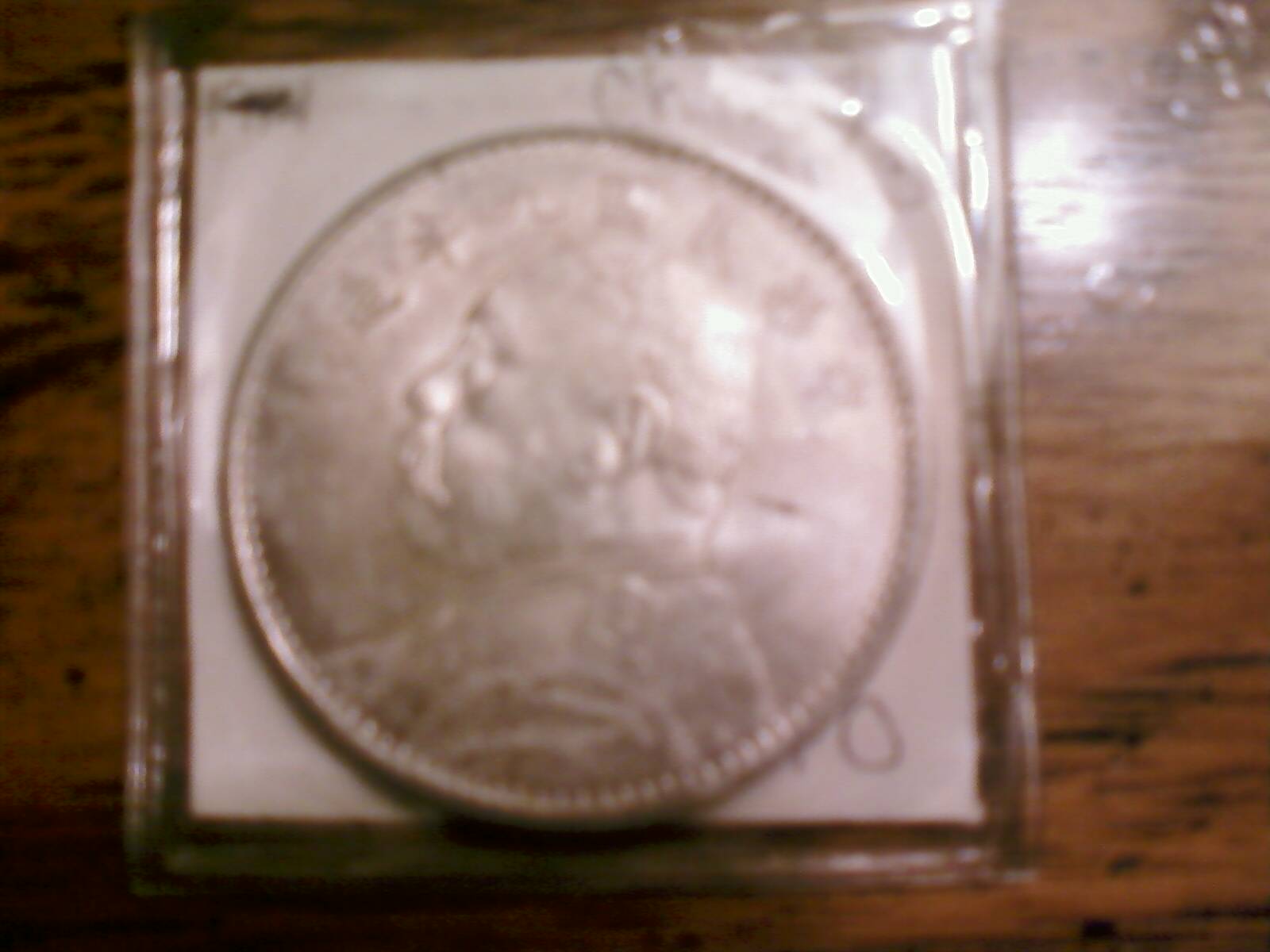Chinese-Fatman-Silver-Dollars,-What-Variations-Do-I-Have?