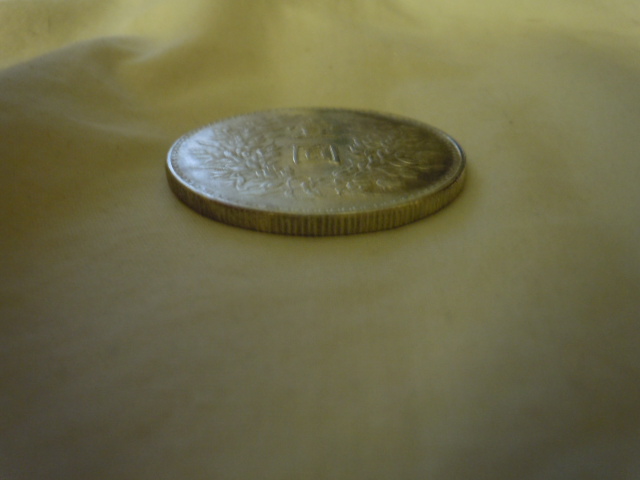 Chinese-Fatman-Silver-Dollars,-What-Variations-Do-I-Have?