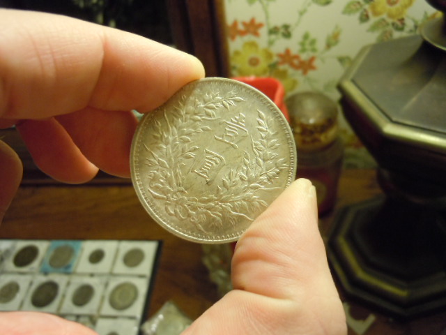 Chinese-Fatman-Silver-Dollars,-What-Variations-Do-I-Have?