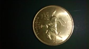 New-Member-With-Quarter-Question