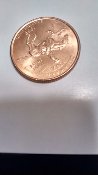 New-Member-With-Quarter-Question