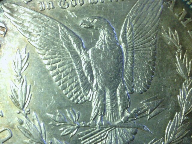 1880-P-For-Grading-VAM-26