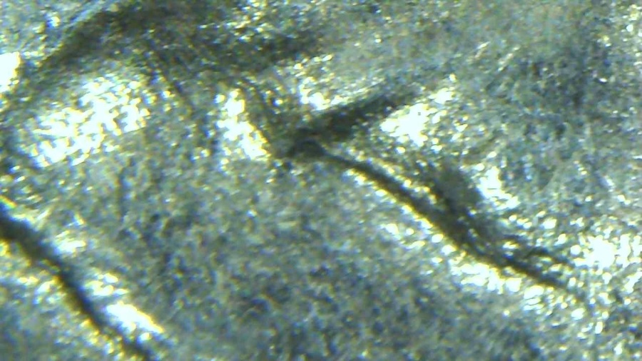 Possibly-A-Doubled-Die-Reverse-On-1966-Washington-Quarter