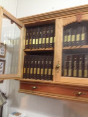 Dansco-Album-Storage-Case