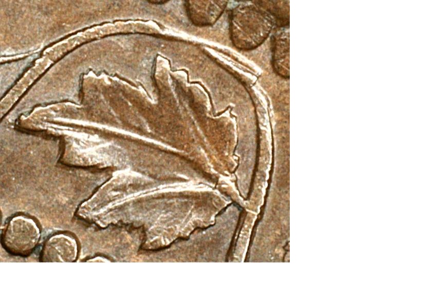 Use-Haxby-1859-Site-To-Identify-Mystery-1859-S---2