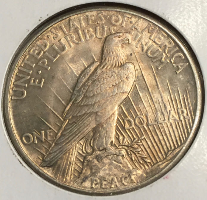 The-Start-Of-My-Peace-Dollar-Collection-Pictures