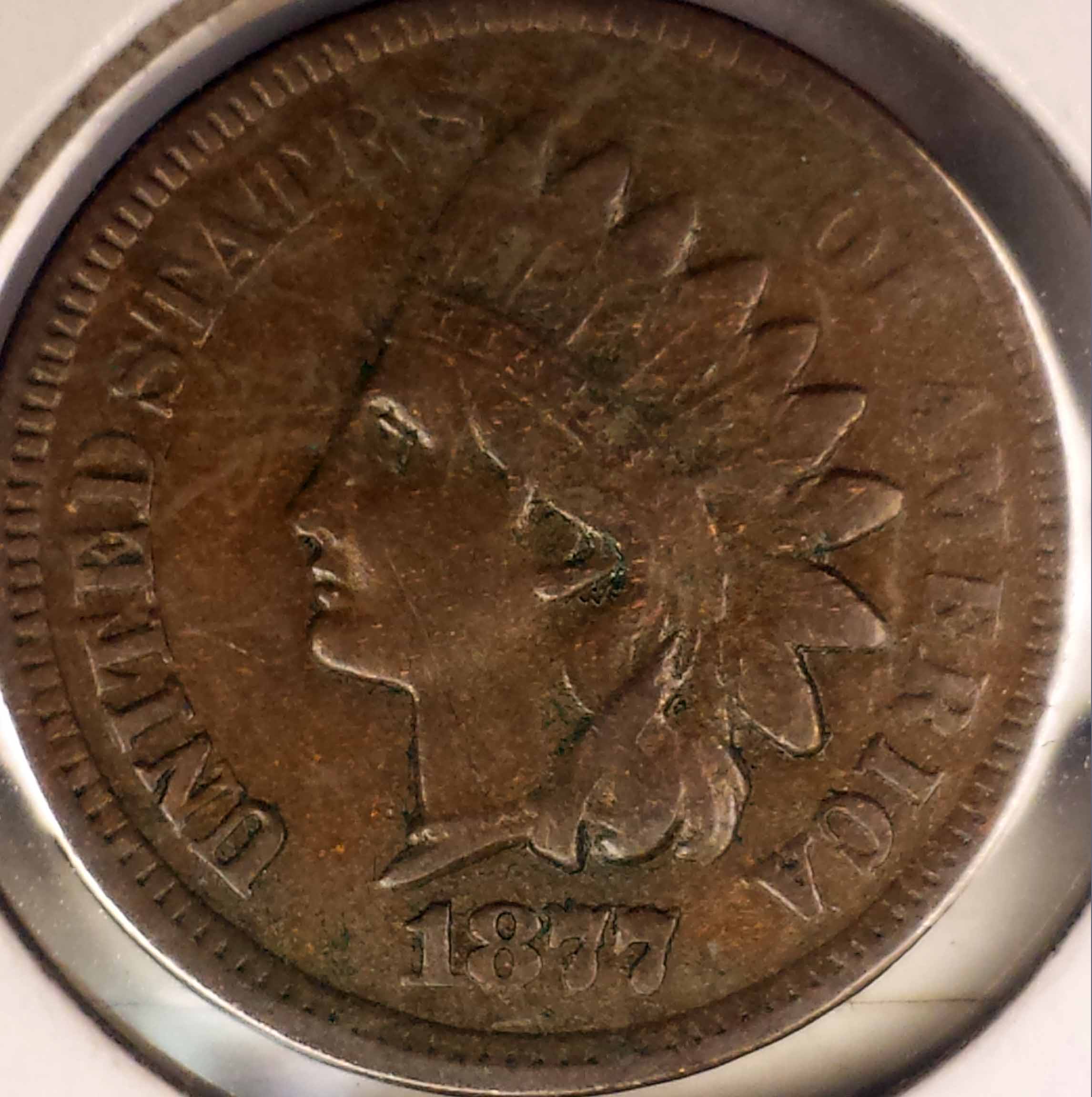 Would-You-Buy-A-1877-Indian-Penny-Or-Buy-Morgan?