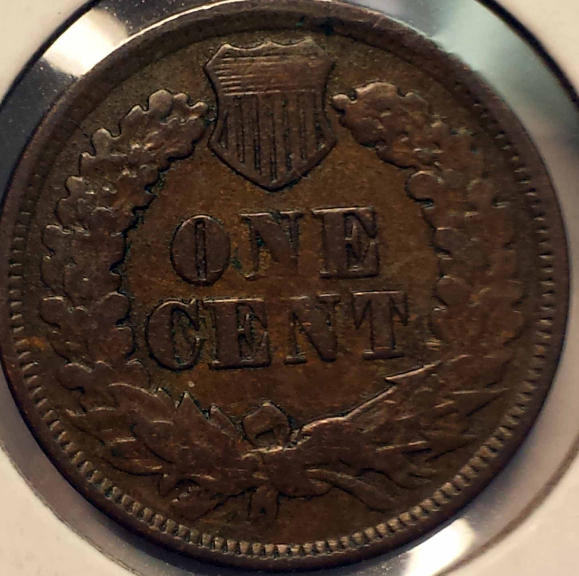 Would-You-Buy-A-1877-Indian-Penny-Or-Buy-Morgan?