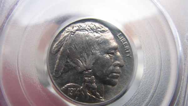 1914-Buffalo-You-Vs-PCGS