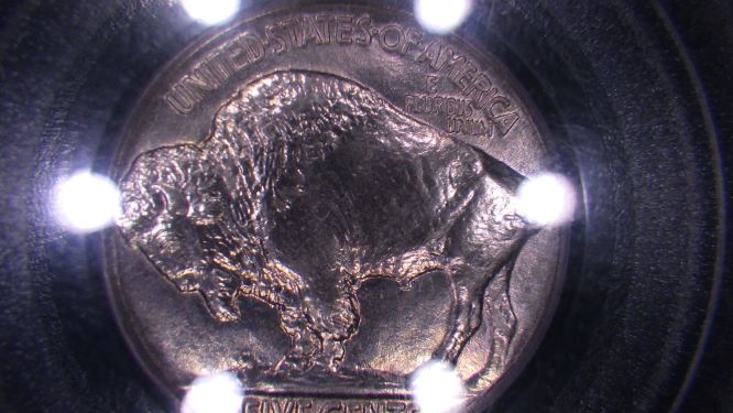 1914-Buffalo-You-Vs-PCGS