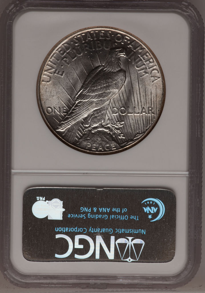 1928-P-Peace-Dollar---Should-I-Have-TPG-Graded-For-Best-Price?