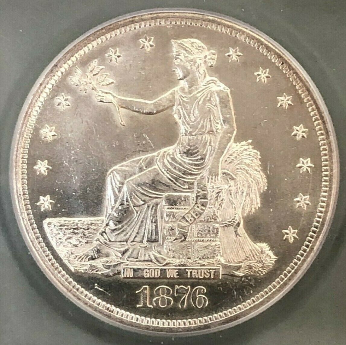 1876-Trade-Dollar-You-Vs-ANACS-Small-Holder