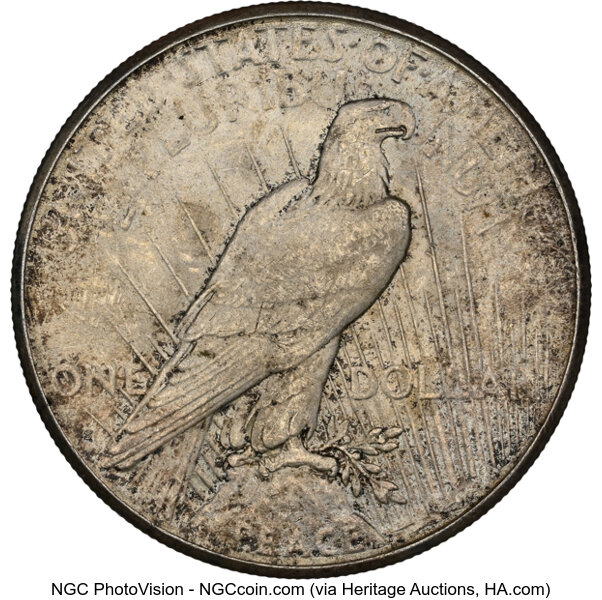 Now-Putting-Together-Peace-Dollar-Set