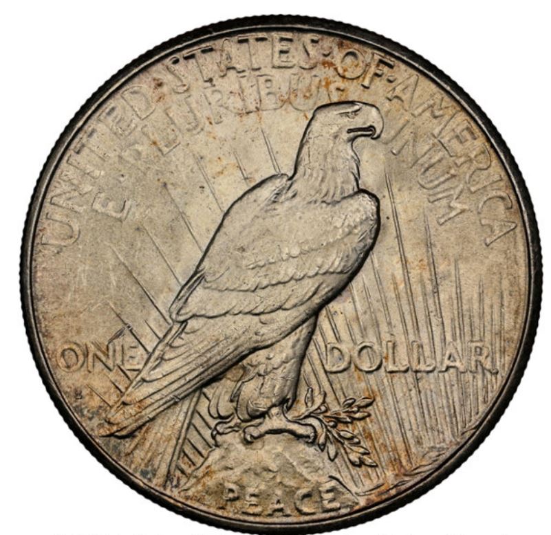 Now-Putting-Together-Peace-Dollar-Set