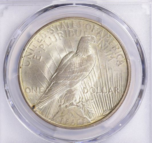 Now-Putting-Together-Peace-Dollar-Set