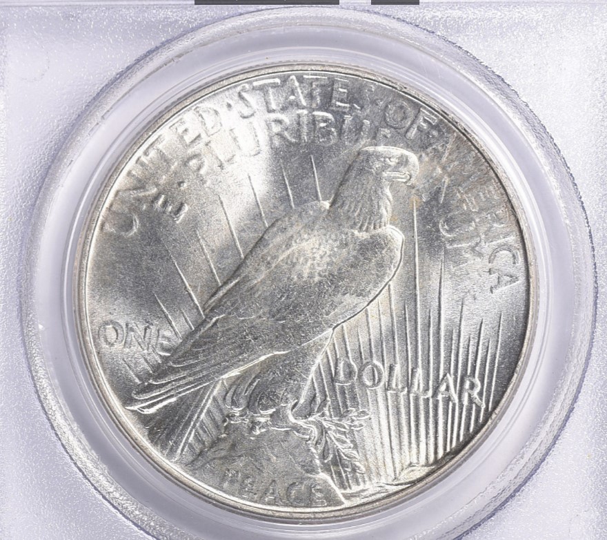 Now-Putting-Together-Peace-Dollar-Set