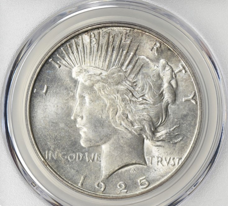 Now-Putting-Together-Peace-Dollar-Set