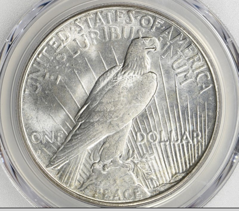 Now-Putting-Together-Peace-Dollar-Set