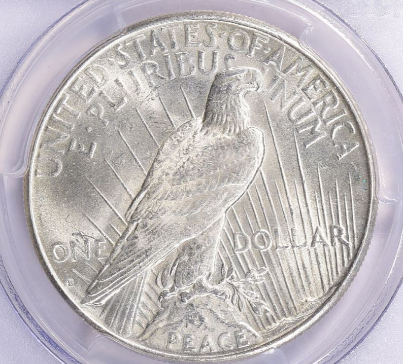 Now-Putting-Together-Peace-Dollar-Set