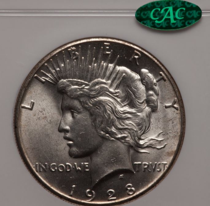 Now-Putting-Together-Peace-Dollar-Set