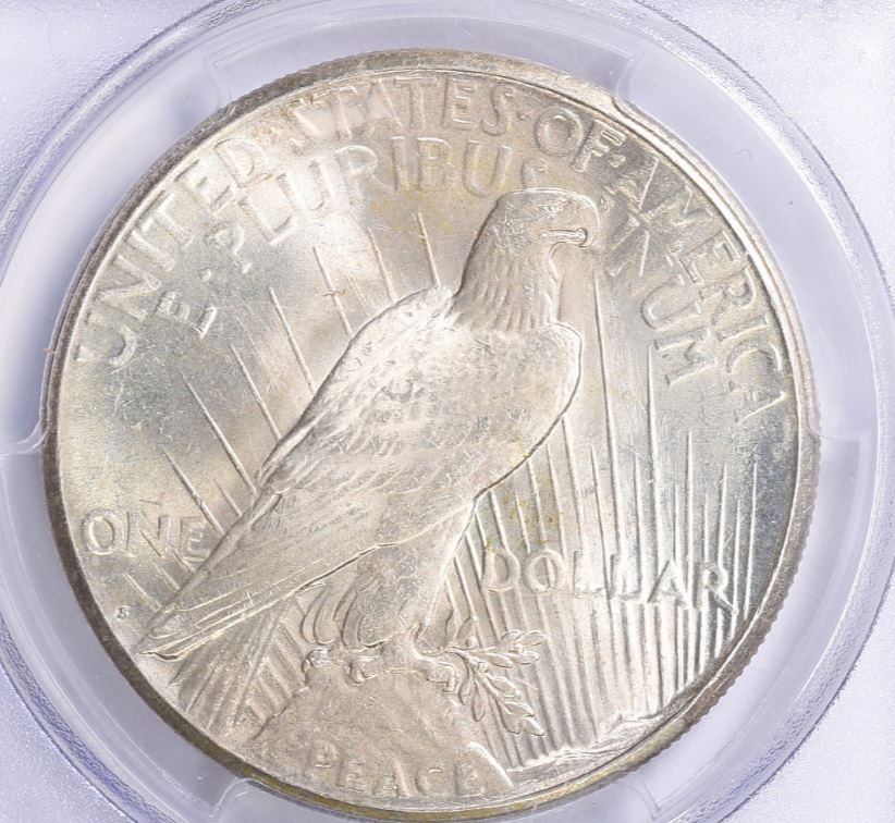 Now-Putting-Together-Peace-Dollar-Set