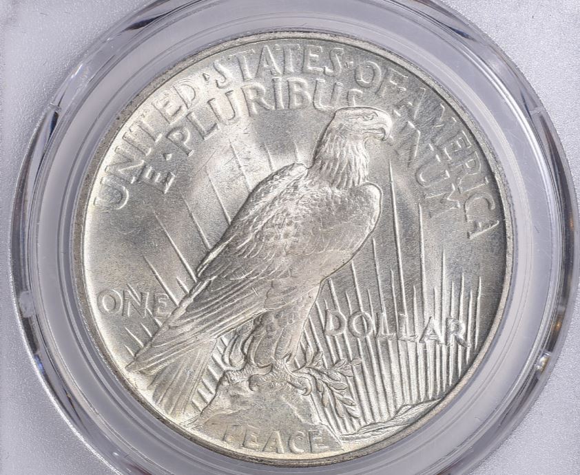 Now-Putting-Together-Peace-Dollar-Set