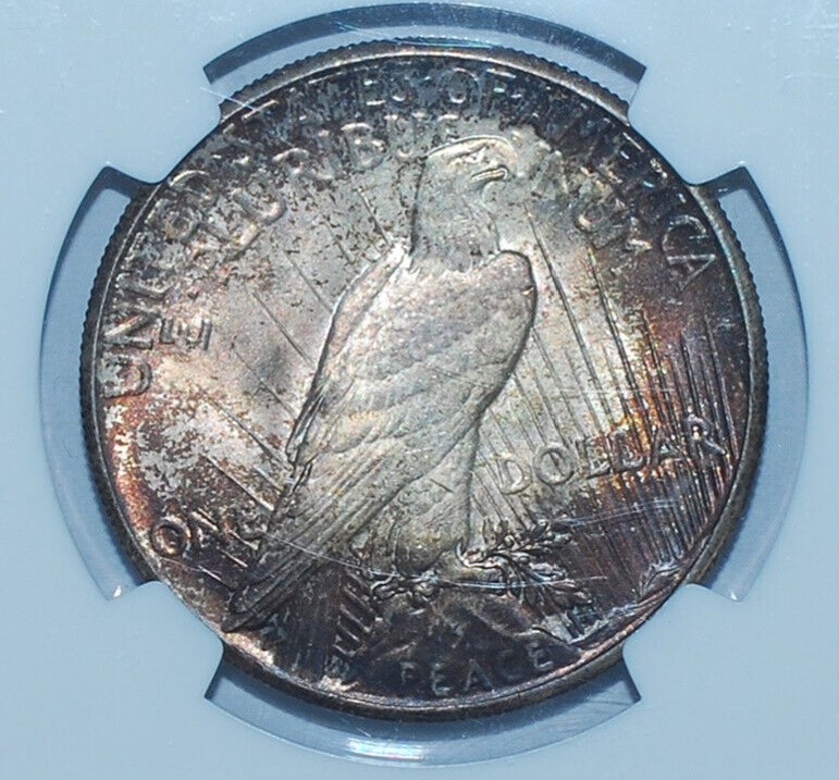 Now-Putting-Together-Peace-Dollar-Set
