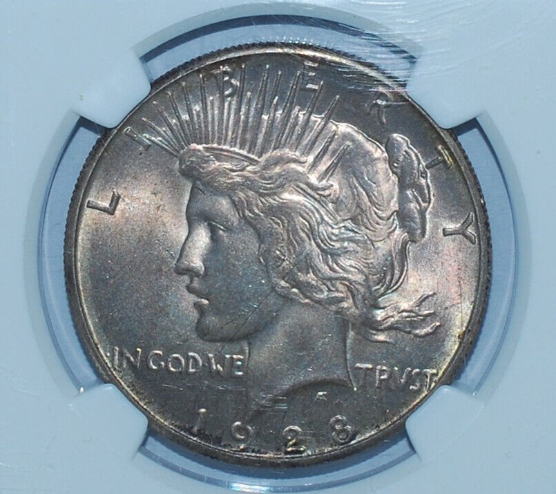 Now-Putting-Together-Peace-Dollar-Set