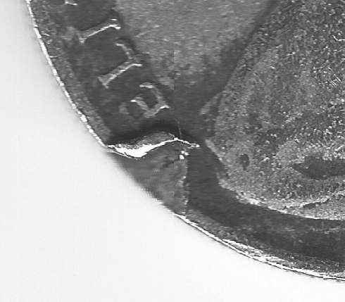 Australian-Decimals---PMD-Or-?