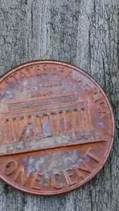 Lincoln-Penny-Was-This-Done-After-It-Was-In-Circulation