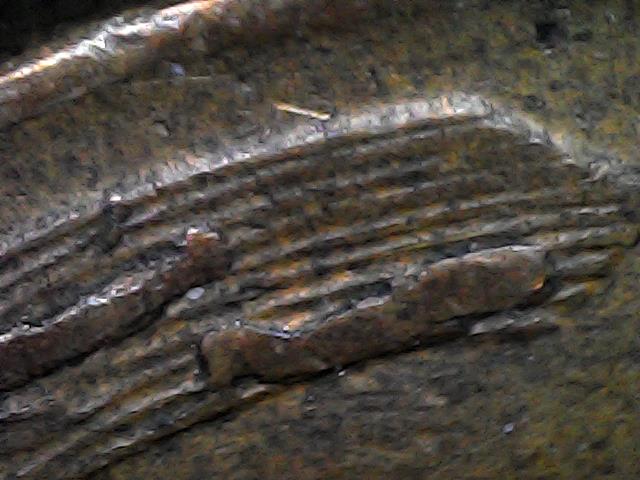 The-Bugs-Are-In-The-Wheat-Stock-1953-Wheat-Cent