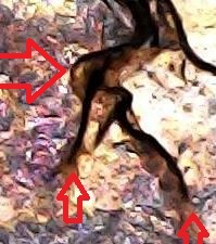 1995-Lincoln-Memorial-Cent,-Is-This-Mad-Die?