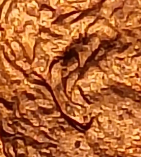 1982-Small-Date-Zinc-DDO--Lincoln-Cent