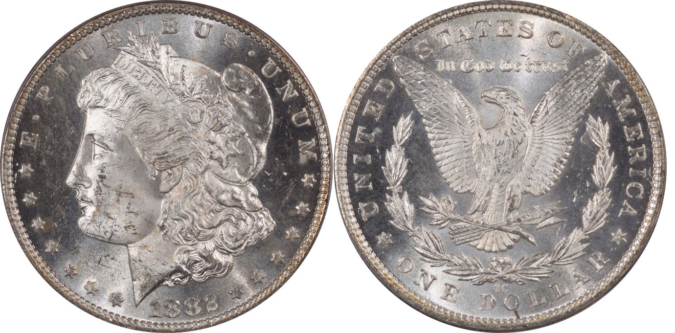 What-Would-You-Grade-This-1882-CC-Morgan