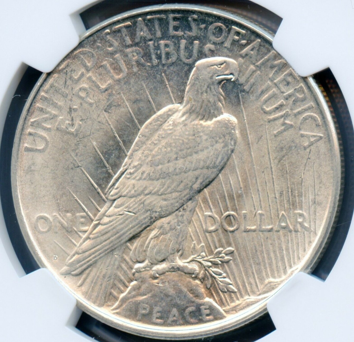 Possible-1923-D-VAM-1-H-Cherrypick