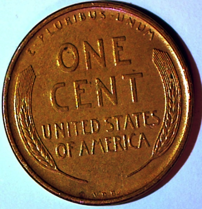 1909-S-VDB----Slab-Or-Sell-Raw?