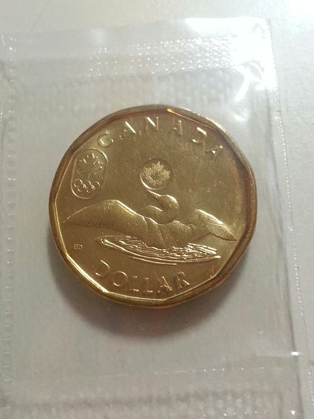 Grade-For-This-Loonie?