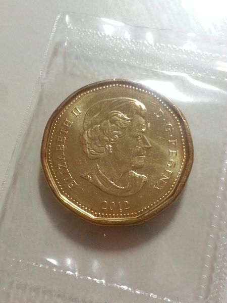 Grade-For-This-Loonie?