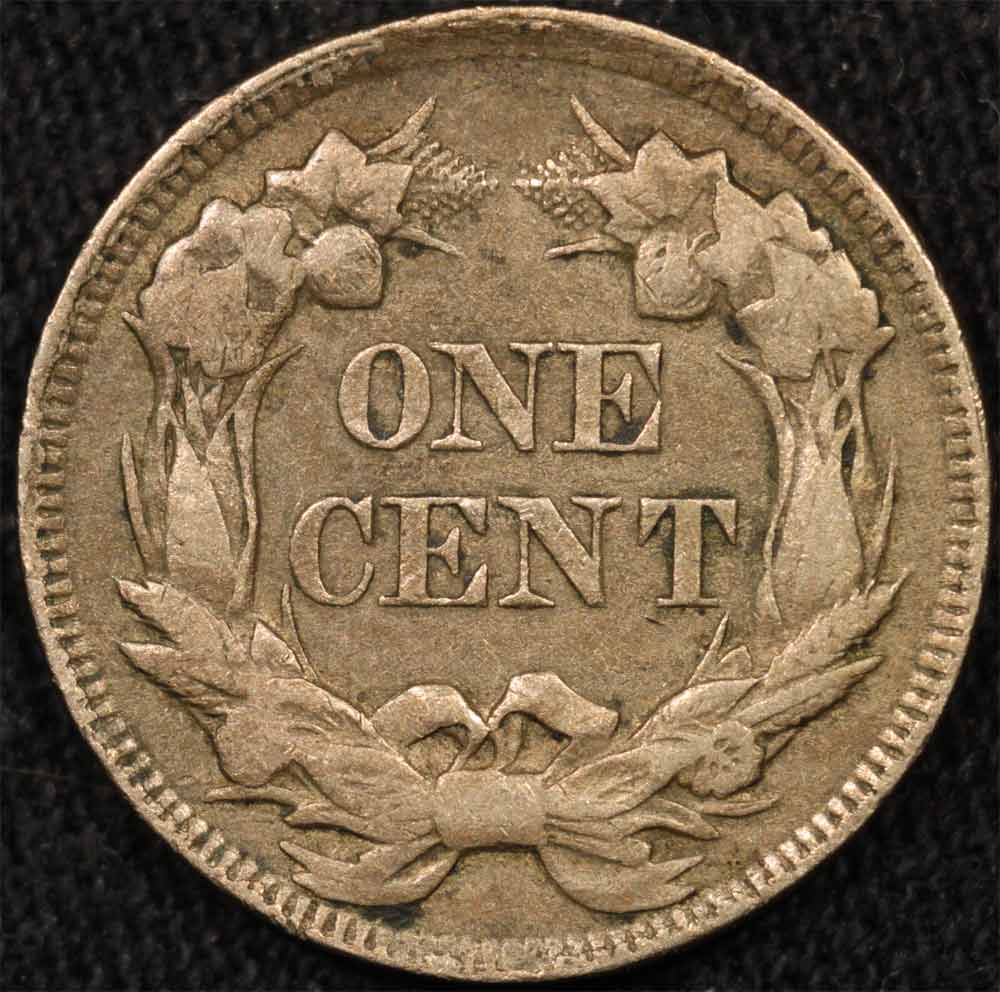 The-51-Days-Of-Indian-Head-Cents-II-With-A-Fe-Cents-Prelude