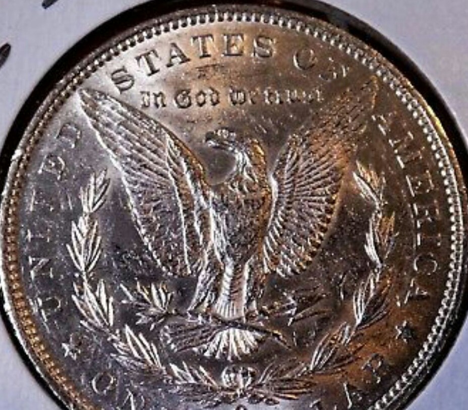 Morgan-Dollar-#2-Grade-Please
